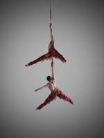 Misha & Sergey, Aerial Strap Performers #2 