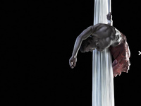 Pasha, Aerial Silk Performer #1 (Cropped Version)