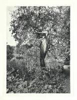 The Autumn Awakening