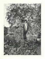 The Autumn Awakening